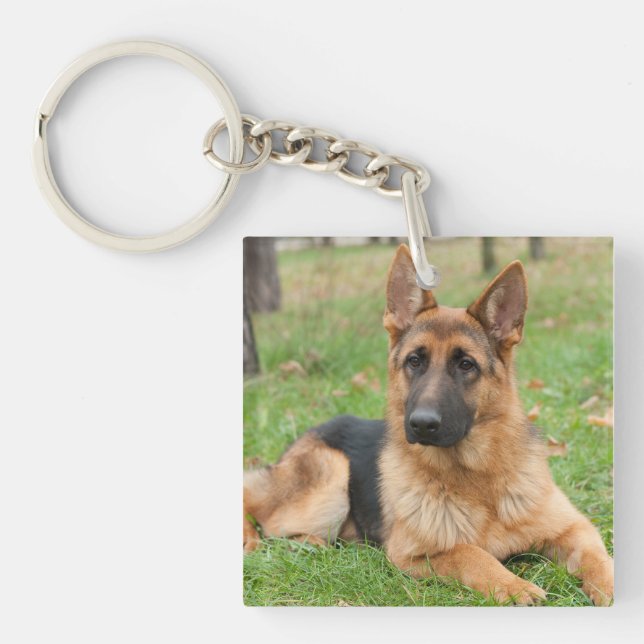 Create Your Own Pet Photo Custom Picture Key Ring (Front)