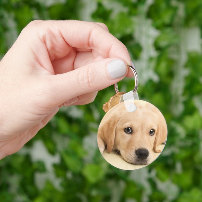 Create Your Own Pet Photo Custom Picture Key Ring (Hand)