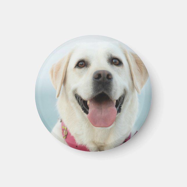 Create Your Own Pet Photo Custom Picture Magnet (Front)