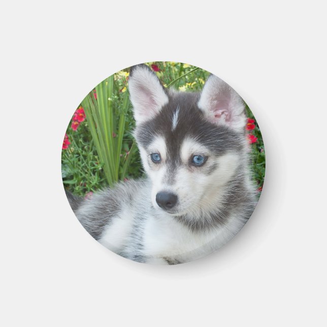 Create Your Own Pet Photo Custom Picture Magnet (Front)