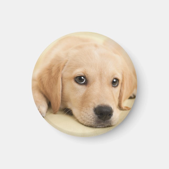 Create Your Own Pet Photo Custom Picture Magnet (Front)