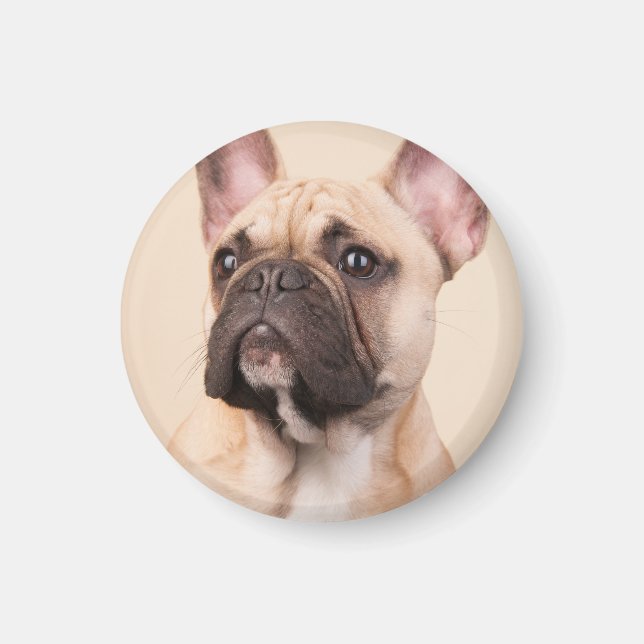 Create Your Own Pet Photo Custom Picture Magnet (Front)