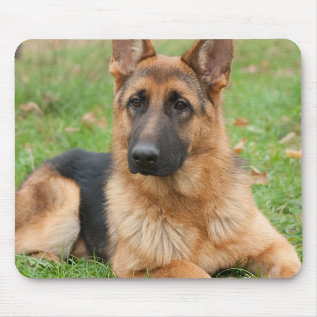 Create Your Own Pet Photo Custom Picture Mouse Pad (Front)