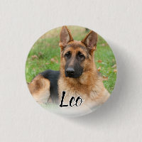 Create Your Own Pet Photo Custom Picture Name