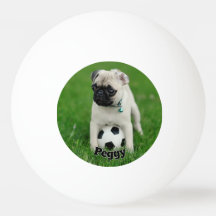 Create Your Own Pet Photo Custom Picture Name
