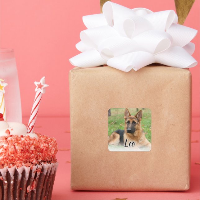 Create Your Own Pet Photo Custom Picture Name Square Sticker (Party)