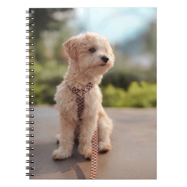 Create Your Own Pet Photo Custom Picture Notebook (Front)