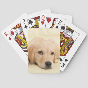 Create Your Own Pet Photo Custom Picture Playing Cards
