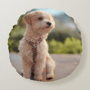 Create Your Own Pet Photo Custom Picture Round Cushion