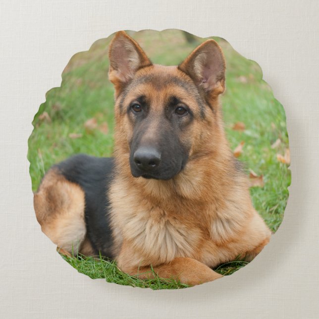 Create Your Own Pet Photo Custom Picture Round Cushion (Front)