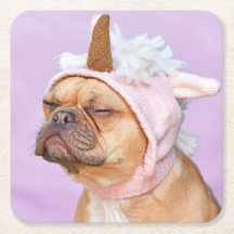 Create Your Own Pet Photo Custom Picture