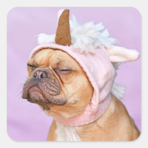 Create Your Own Pet Photo Custom Picture Square Sticker