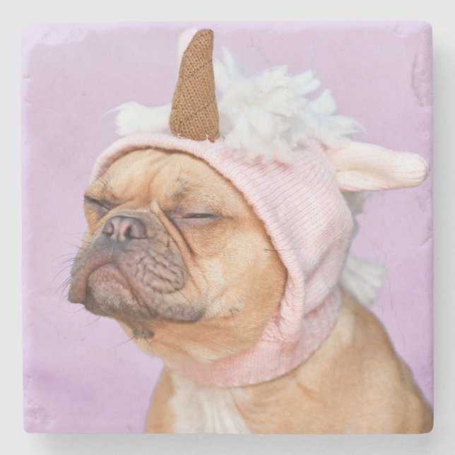Create Your Own Pet Photo Custom Picture Stone Coaster (Front)