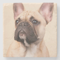 Create Your Own Pet Photo Custom Picture