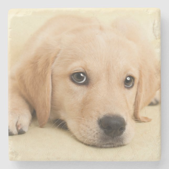 Create Your Own Pet Photo Custom Picture Stone Coaster (Front)