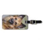 Create your own pet photo