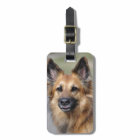 Create your own pet photo