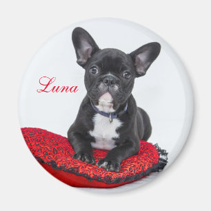 Create Your Own Pet Photo Magnet