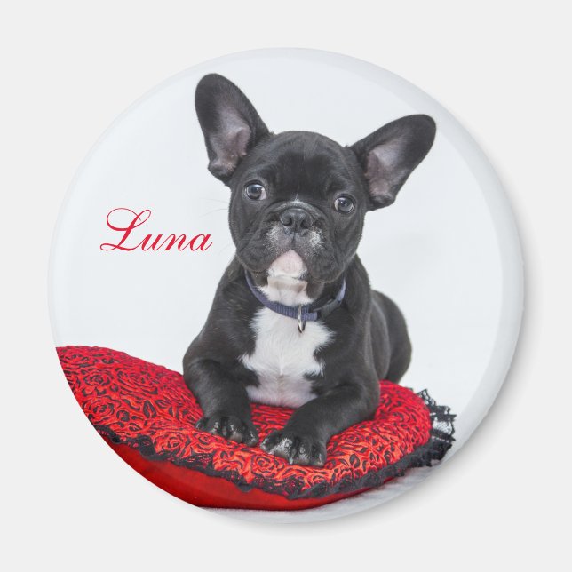Create Your Own Pet Photo Magnet (Front)