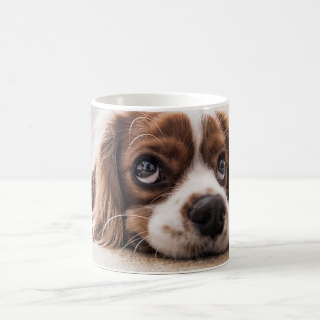 Create Your Own Pet Photo Mug (Center)