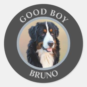 Create Your Own Pet Portrait Photo Modern Grey Classic Round Sticker