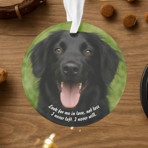 Create Your Own Pet's Photo Memorial Ornament