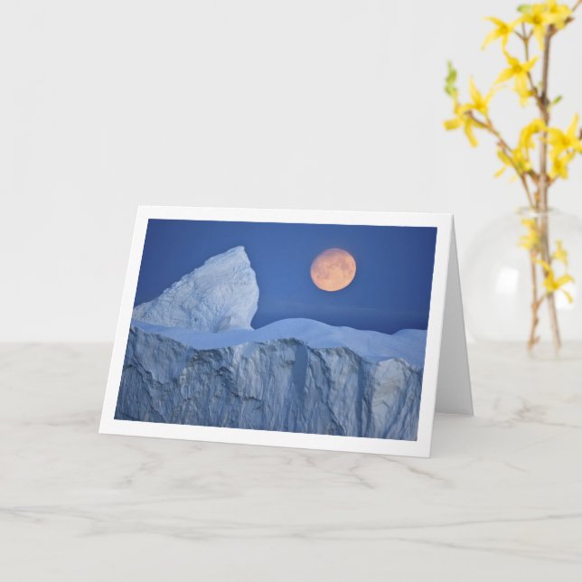 Create Your Own Photo Card (Yellow Flower)