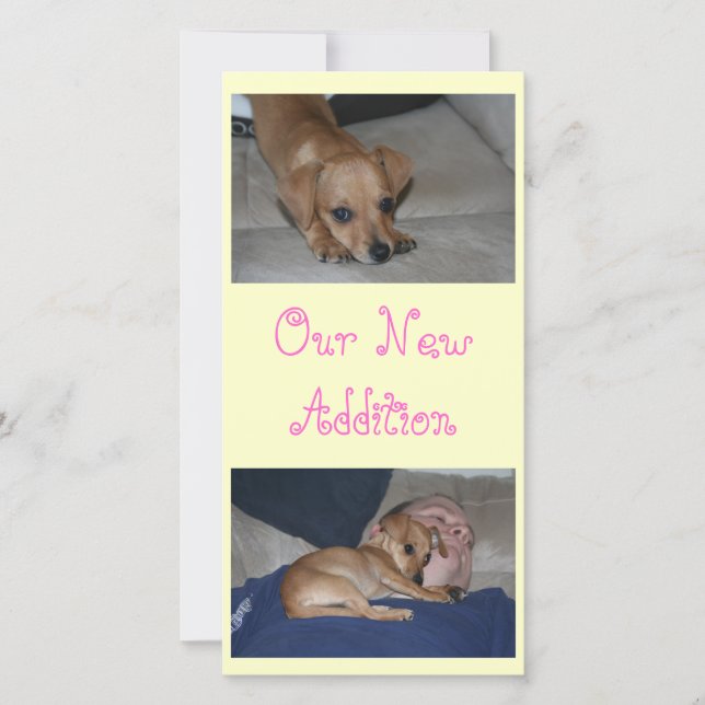 Create Your Own Photo Cards (Front)