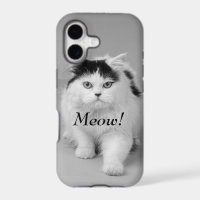 Create your own Photo Cat adorable black and white