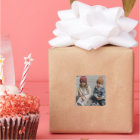 Create Your Own Photo Classic