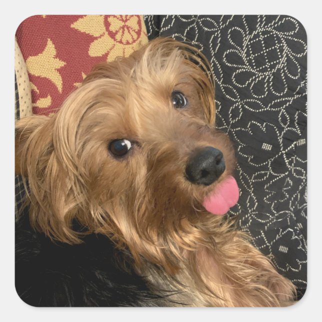 Create Your Own Photo Family Pet Baby Square Sticker (Front)