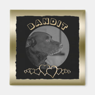Create Your Own Photo Gold Custom Pet Keepsake Magnet