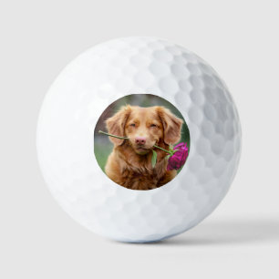 Create your Own Photo Golf Balls