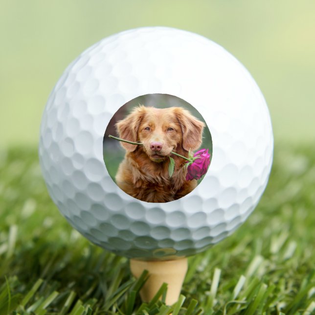 Create your Own Photo Golf Balls (Create your Own Photo Golf Balls)
