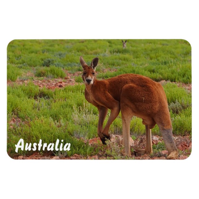 Create your own photo magnet (Horizontal)