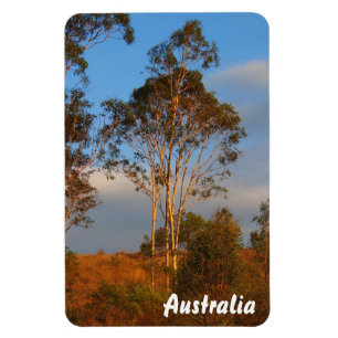 Create your own photo magnet