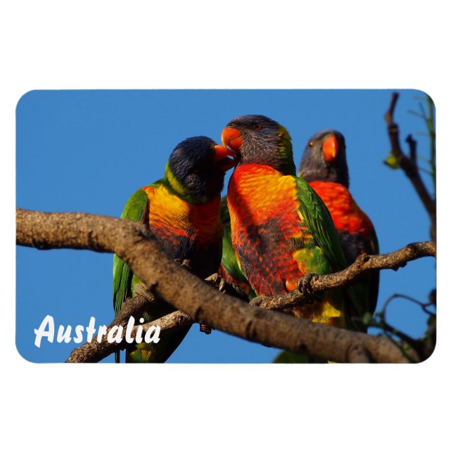 Create your own photo magnet (Horizontal)