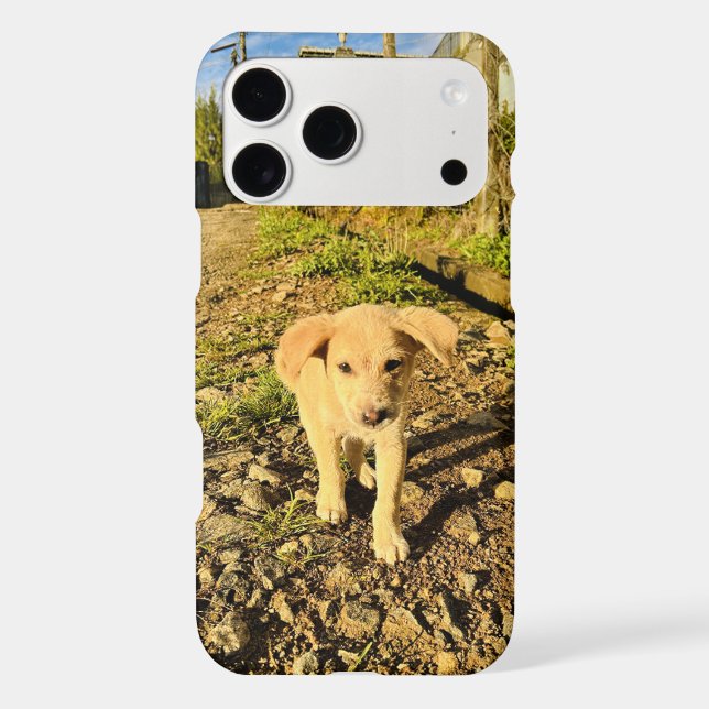 Create Your Own Photo Modern Custom iPhone Case (Back)