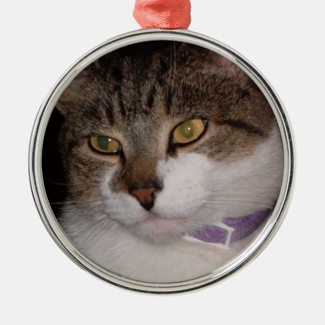 Create your own photo ornament template (Front)