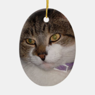 Create your own photo Oval Ornament Template