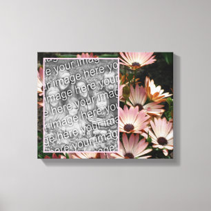 Create Your Own Photo Pink African Daisy Flowers Canvas Print