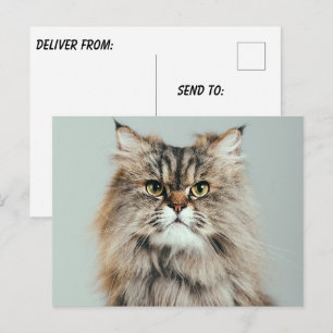 Create Your Own Photo Postcard
