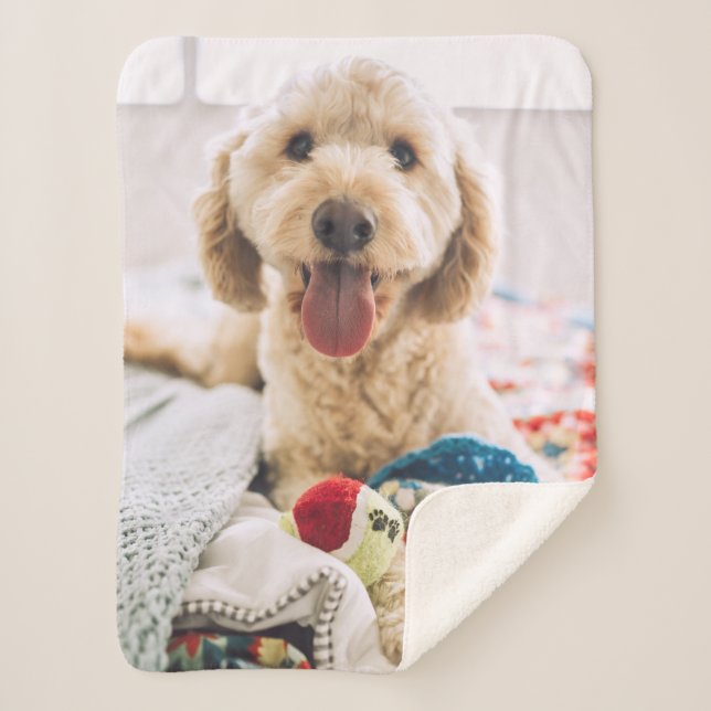 Create Your Own Photo Sherpa Blanket (Front)