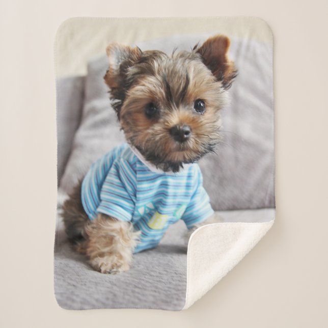 Create Your Own Photo  Sherpa Blanket (Front)