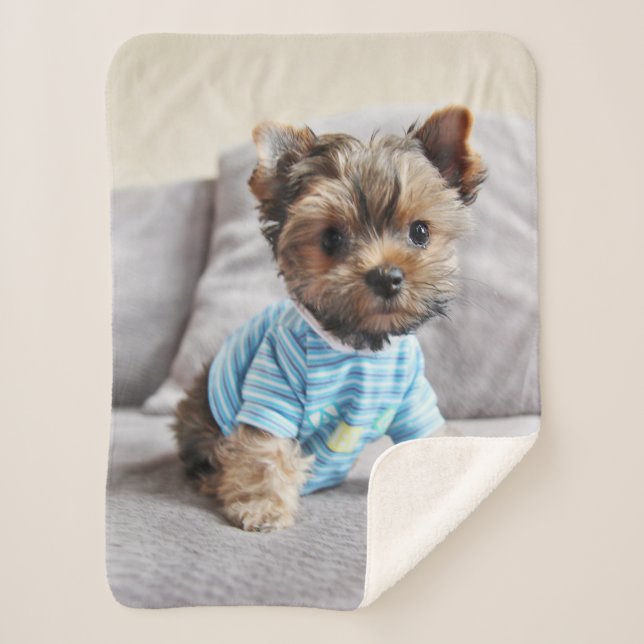 Create Your Own Photo Sherpa Blanket (Front)