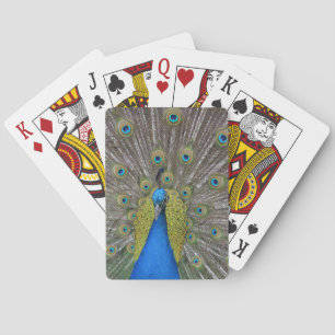 Create Your Own Playing Cards