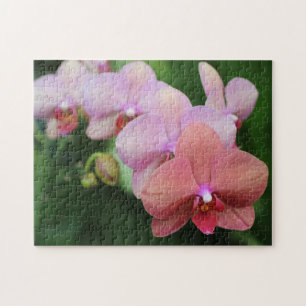 Create Your Own Pretty Peach Orchid Flower  Jigsaw Puzzle