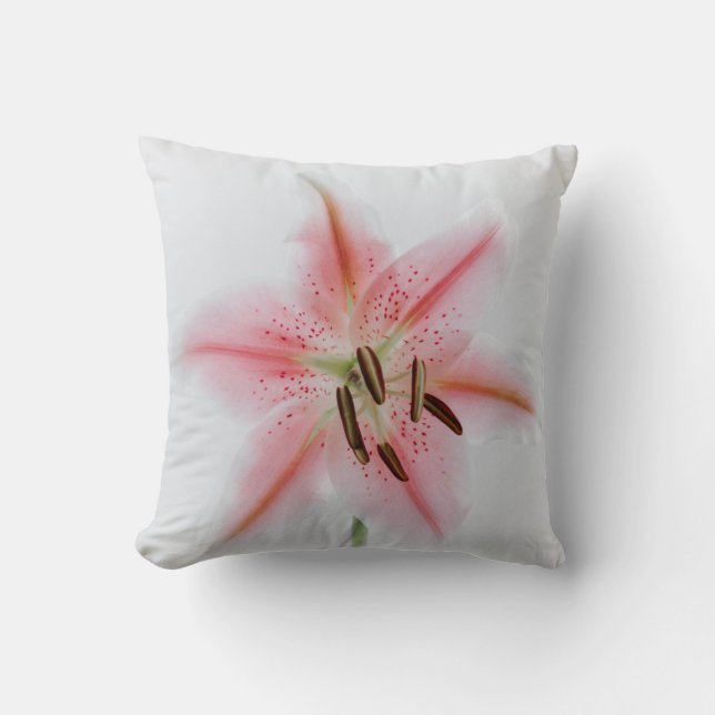 Create Your Own Simple Custom 16" x 16" Cushion (Front)