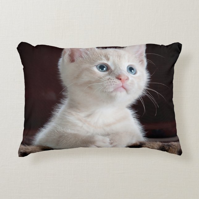 Create Your Own Simple Custom  Decorative Cushion (Front)