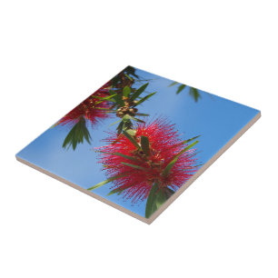 Create your own square tile - bottlebrush